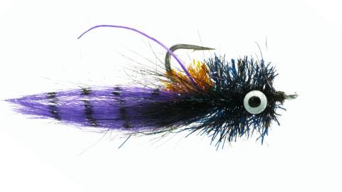 Redfish Goon - Purple & Black